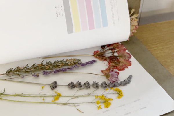 A hand lifts a page in a book containing several pressed flowers. The book rests on a wooden table.