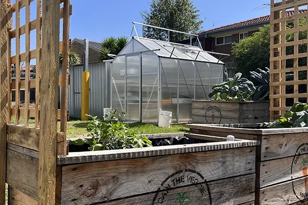 A small glasshouse stands in a sunny garden, surrounded by leafy green plants in large wooden raised garden beds and wooden trellises.