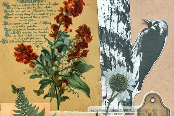 scrapbooking-ehillsnc-unsplash