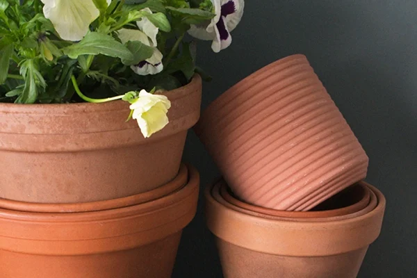 A close-up of stacked terracotta plant pots, one containing a blooming flower.