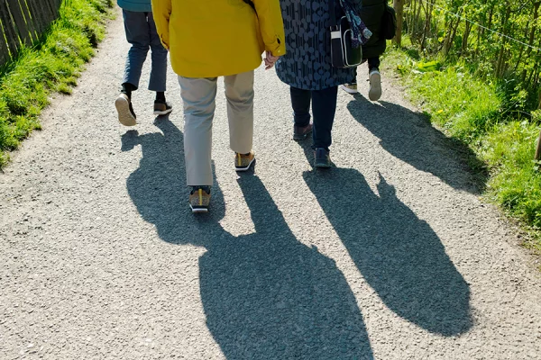 A walking group of three people strolls outdoors on a sunlit path, casting long shadows. The photo, taken from behind, captures only their lower bodies and legs as green grass lines the path on both sides.